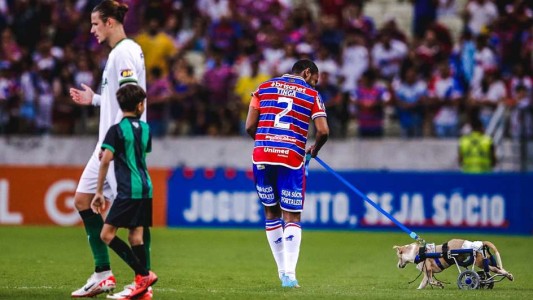 Todo por la adopción: salieron los perritos a la cancha - #FlashChat