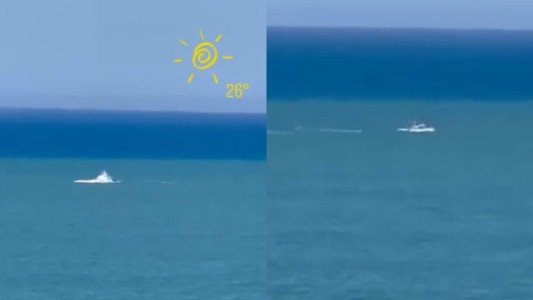 Una ballena franco austral disfrutó de la costa de Miramar el fin de semana