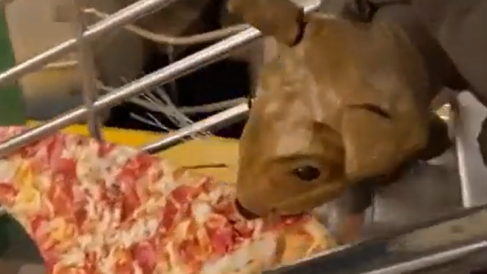 La curiosa postal de Halloween en el subte de Nueva York