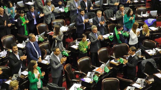 El debate por el aborto en Diputados: frases y perlitas de una sesión maratónica
