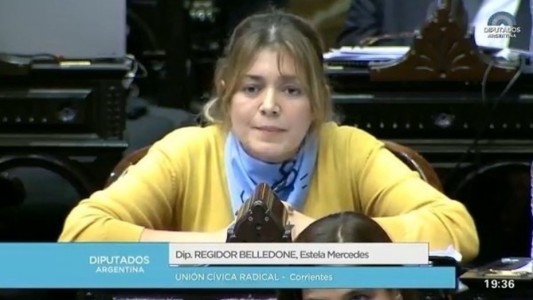 El insólito argumento de una diputada: "¿Qué pasa cuando una perrita queda embarazada?"