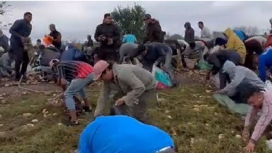 Volcó un camión que transportaba papas y los vecinos se robaron la mercadería