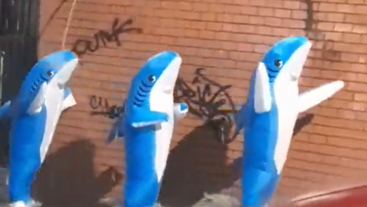 Salieron a pasear vestidos de tiburones en medio de las fuertes tormentas en Medellín