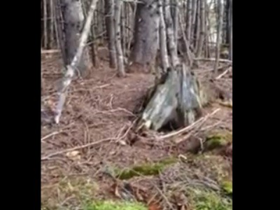 #EsViral El video de la tierra que respira