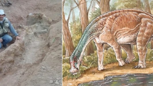 Neuquén: descubrieron una nueva especie de dinosaurio con el cuerpo "casi completo"