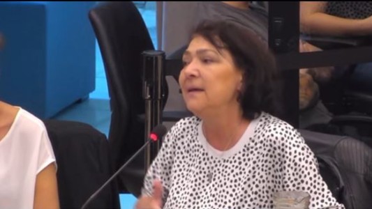 Diputados: Analizan la creación del "Programa nacional de uso adecuado de la cesárea"