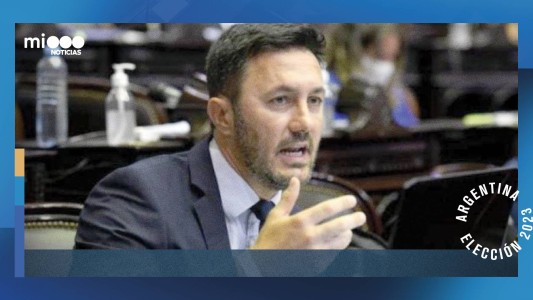 Petri: “aquí se vota la reelección de Massa o el cambio que representa Milei"