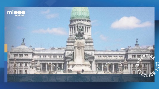 "En ningún momento de estos 40 años de democracia se verificó fraude", dijo la directora de Cippec