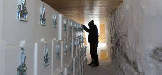 Una biblioteca reúne hielo ancestral que permite entender el cambio climático