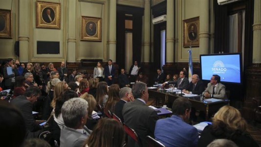 Aborto legal en el Senado: definieron el cronograma de encuentros y habrá 60 expositores