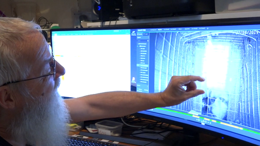 Fin al desconcierto científico: jubilado resolvió el misterio del pene gigante de un tipo de murciélago