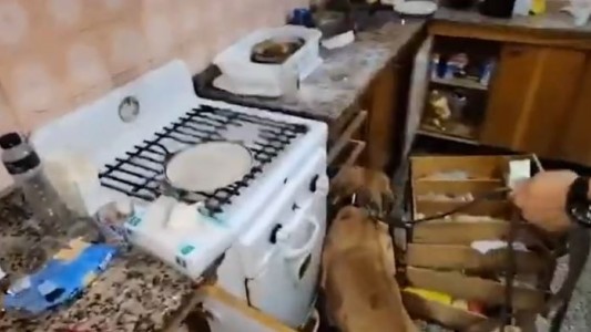 Regenteaba una cocina de drogas sintéticas en Villa Luro y lo detuvieron