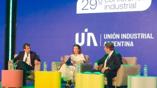 Ante la UIA, Diana Mondino dio definiciones del gobierno de Milei: "Los dólares serán de los exportadores"