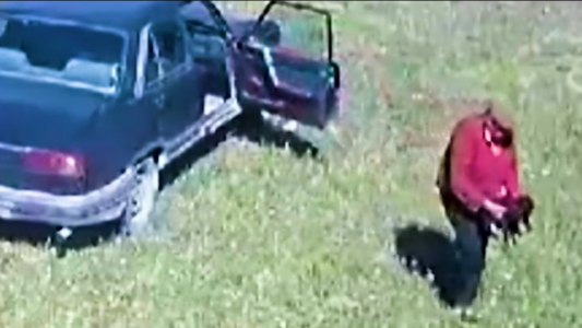 Abandonó a dos cachorritos: el adiós más cruel tuvo final feliz