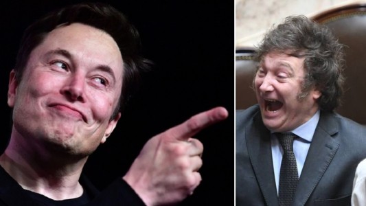 Otro guiño de Elon Musk a Milei: "Tenemos que hablar", le respondió el presidente electo