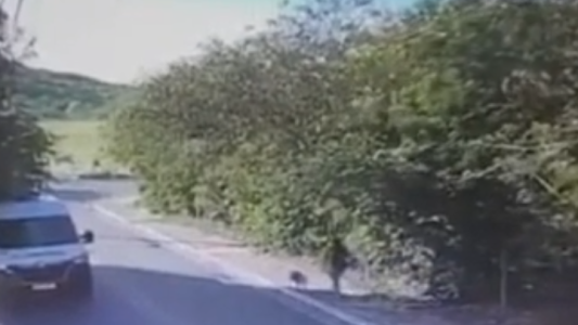 Los últimos minutos de la argentina asesinada en Buzios