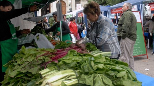 Detectaron una alta concentración de parásitos en verduras del cordón hortícola de La Plata