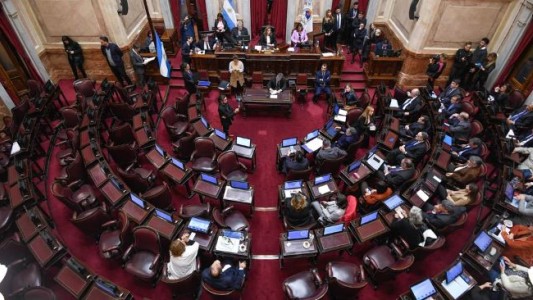 El Senado designó a Bartolomé Abdala como presidente provisional