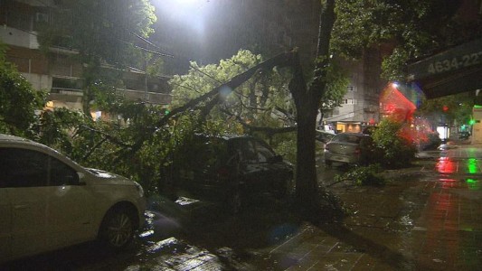 La Ciudad de Buenos Aires recibió 544 pedidos de auxilio por el temporal