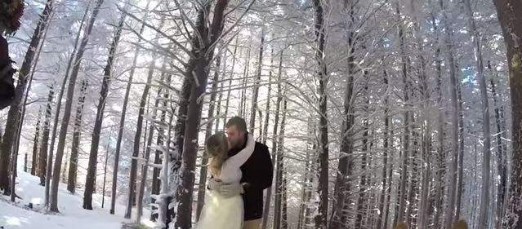 #EsViral : el video de casamiento grabado por un perro