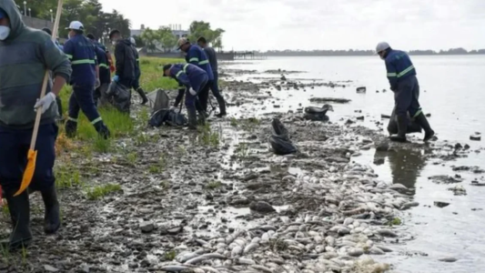 Aparecieron cientos de peces muertos en Chascomús: vecinos denuncian olores nauseabundos