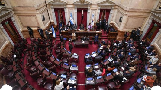 El Senado designó a los integrantes de la Bicameral que analizará el DNU de Milei