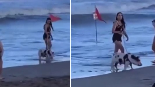 Video: sacó a pasear a su chancho con correa por la playa en Mar del Plata