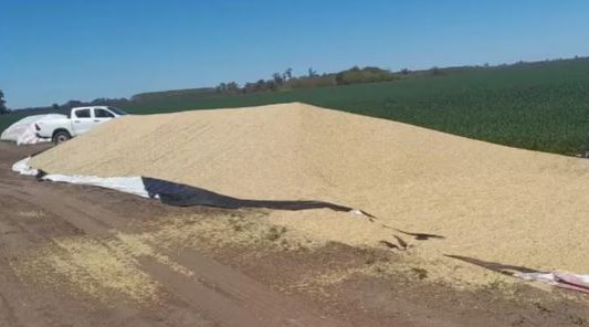 Inseguridad rural: surgen patrullas civiles de productores para reforzar los destacamentos policiales en el campo