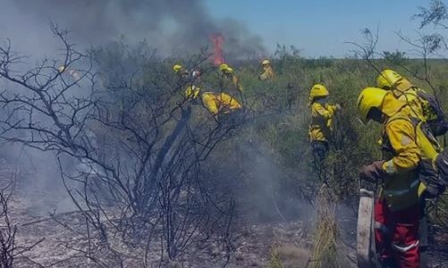 Combaten un incendio que afecta a 200 hectáreas en Neuquén