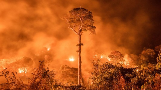 Incendios forestales en Chile: suben a 64 los fallecidos y prevén más muertos