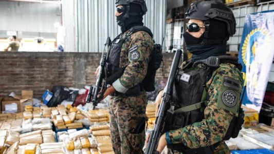 Las fuerzas federales quemaron 700 kilos de drogas incautadas