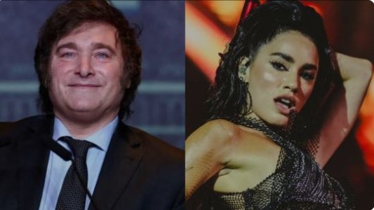 Milei: "El problema no es una actriz, es una arquitectura diseñada para sostener a los políticos"