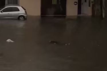 El fuerte temporal ya dejó una víctima fatal en Valentín Alsina