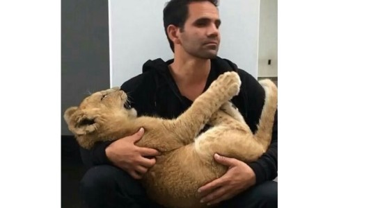 El tierno abrazo de un hombre y un león que conquista internet