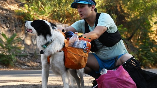 Trotar y levantar basura: un abogado y su perro impulsan el "plogging"