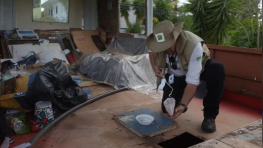 Dengue: Los niños más pequeños son las principales víctimas en Brasil