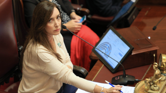 Villarruel consideró que los legisladores "no ganan bien" y que se les "debería haber dado" el aumento