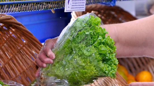 Por qué aumentó tanto la lechuga: ya cuesta más que el asado