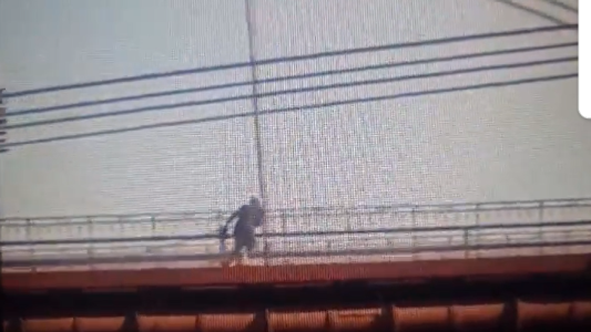 Se robó 40 metros de cable de alambrado público y dejó sin luz al puente colgante de Santa Fe