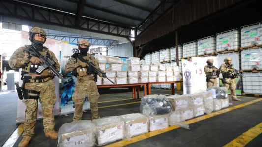 La Ciudad incineró más de 360 kilos de droga secuestrada