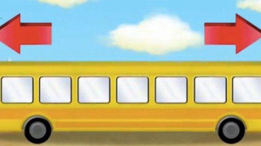 #EsViral: ¿para vos, en qué dirección va este autobús?