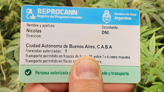 Cannabis: qué es y para qué sirve el Reprocann