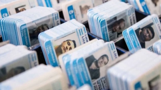 Hackeo y robo de licencias de conducir: aseguran que no se vieron comprometidos datos sensibles