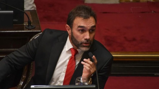 "El Presidente sabía que se iba a votar esto", dijo el jefe de LLA en el Senado