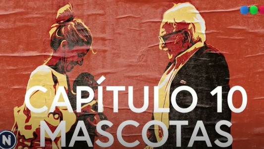 Pacho y los nuevos viejos | Capítulo 10: mascotas