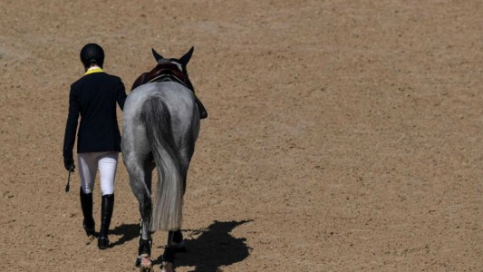 Rio 2016: los descalificaron de competencia ecuestre al encontrar sangre en sus caballos