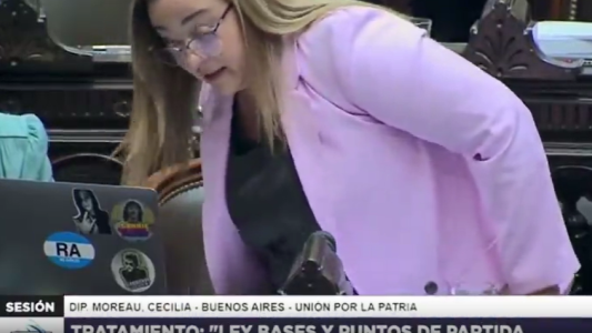 Cecilia Moreau sufrió un imprevisto en pleno debate por la Ley Bases