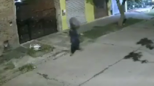 Video: en Merlo se roban hasta los canastos de basura