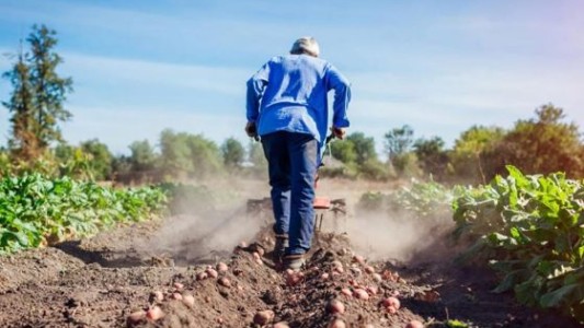 Entidades empresarias y del agro insisten en pedir rebaja de tasa para el cálculo de indemnizaciones
