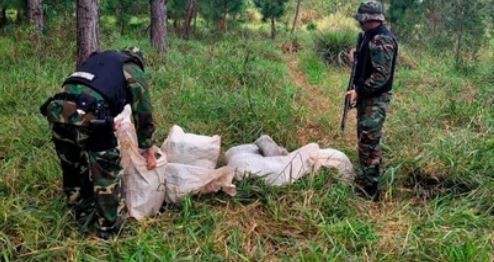 Incautaron en Misiones 350 kilos de marihuana valuados en más de mil millones de pesos
